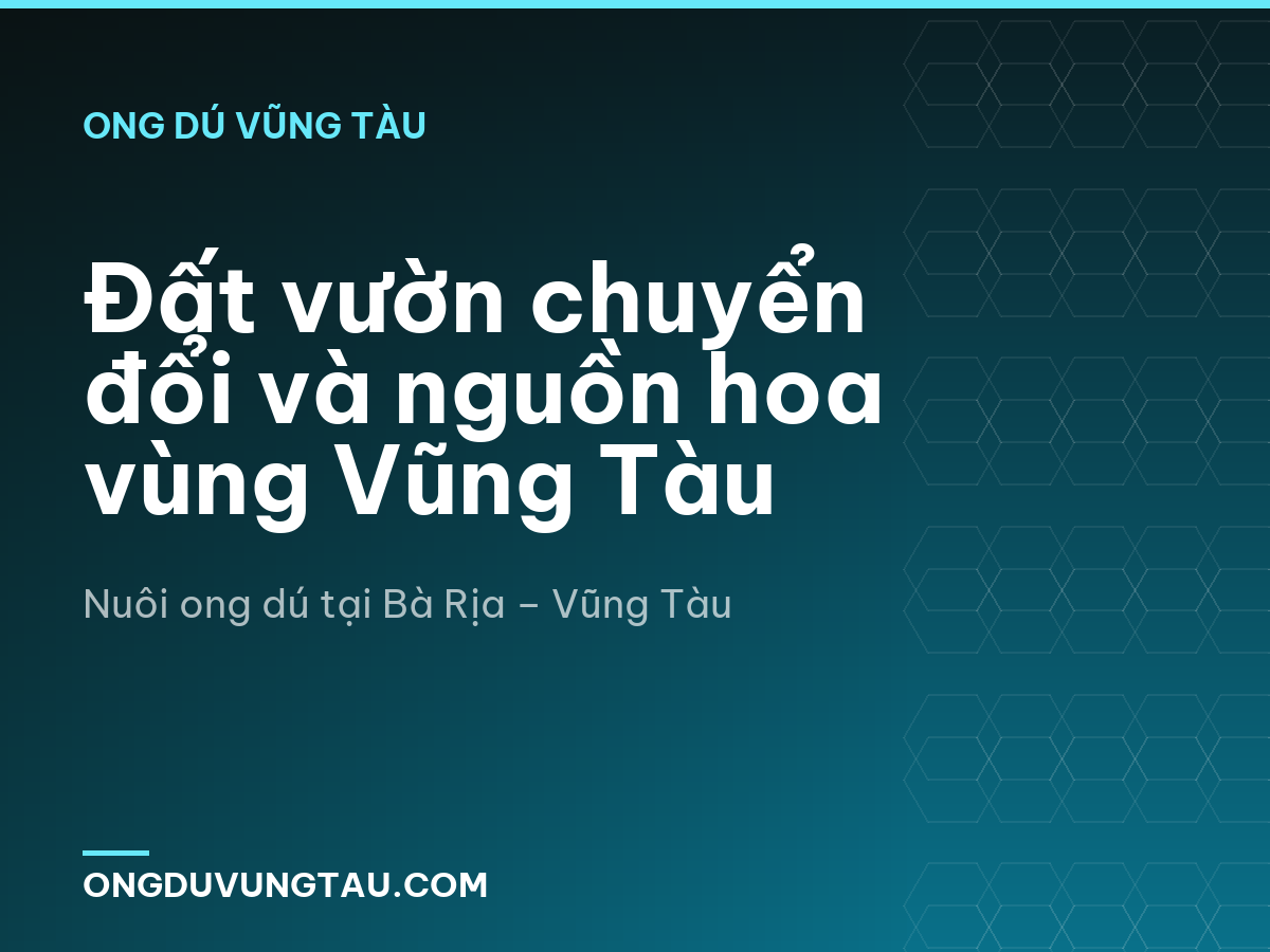 Đất vườn chuyển đổi và nguồn hoa vùng Vũng Tàu