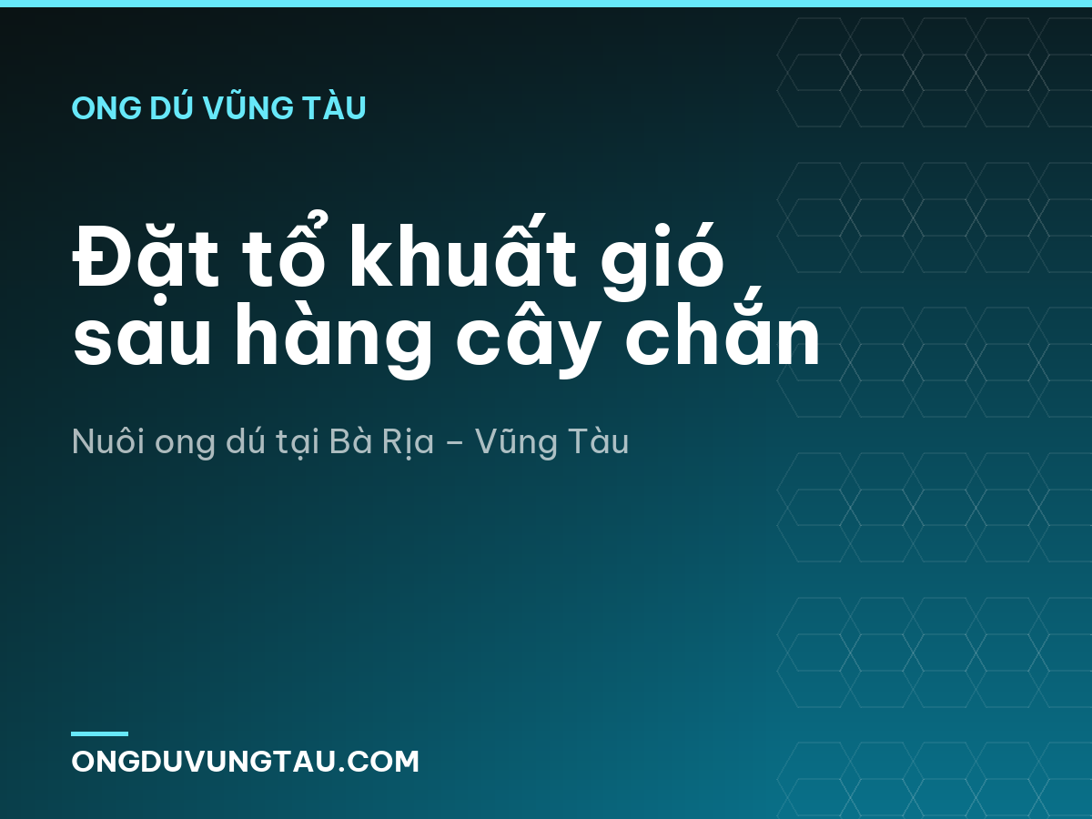Đặt tổ khuất gió sau hàng cây chắn