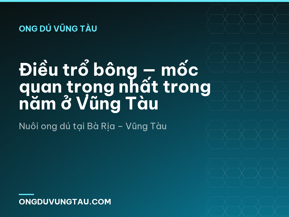 Điều trổ bông — mốc quan trọng nhất trong năm ở Vũng Tàu