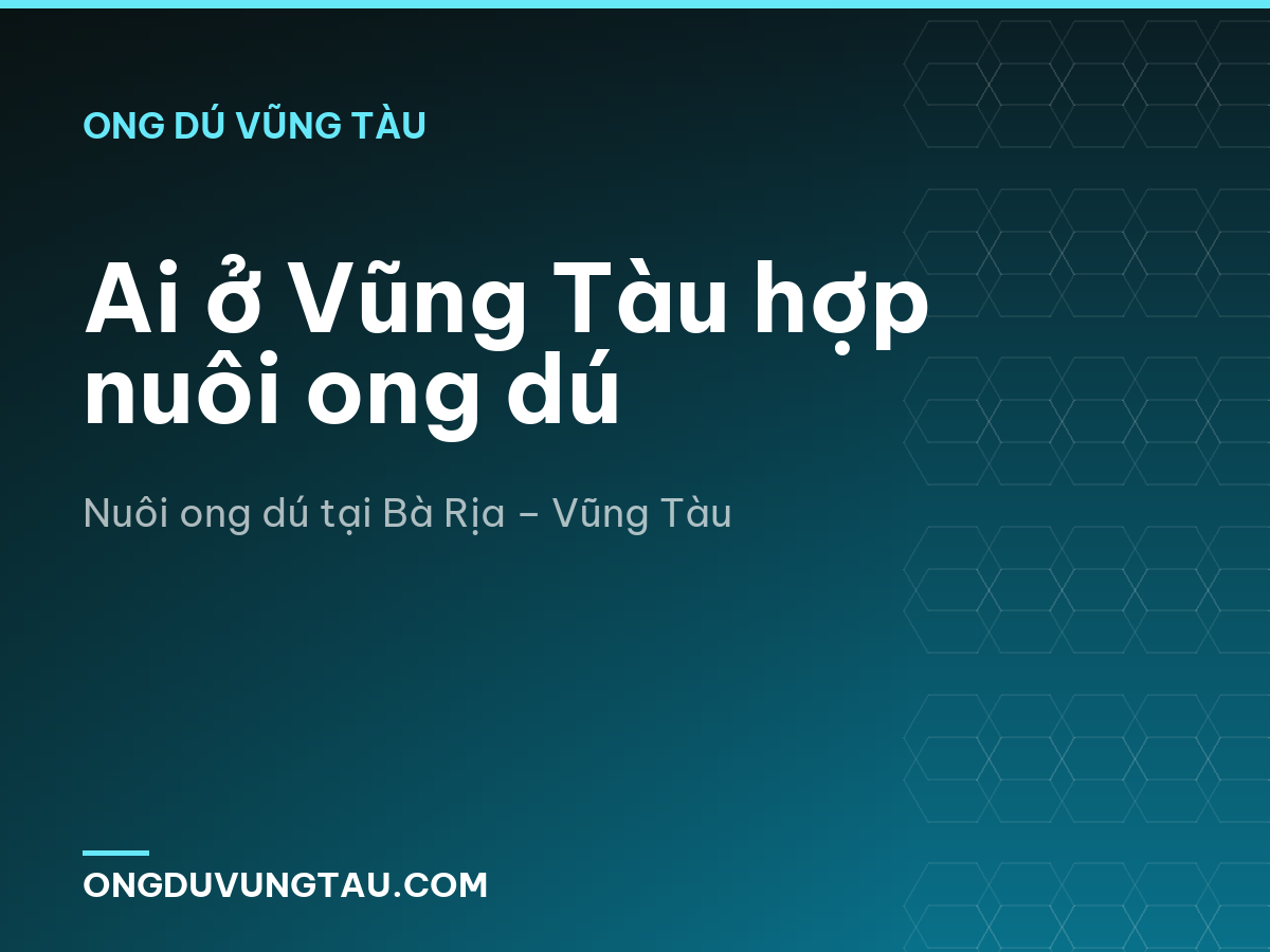 Ai ở Vũng Tàu hợp nuôi ong dú