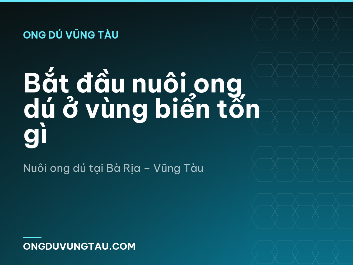 Bắt đầu nuôi ong dú ở vùng biển tốn gì