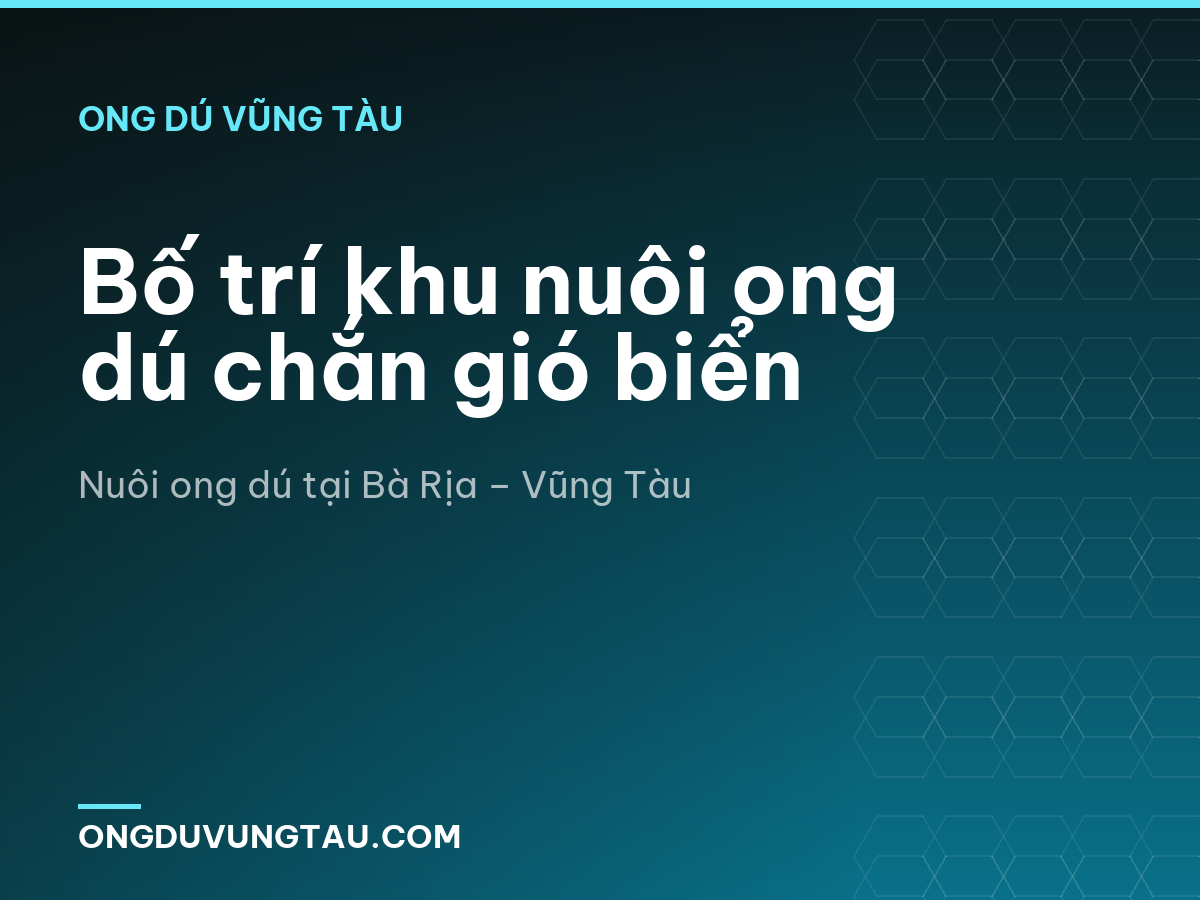 Bố trí khu nuôi ong dú chắn gió biển
