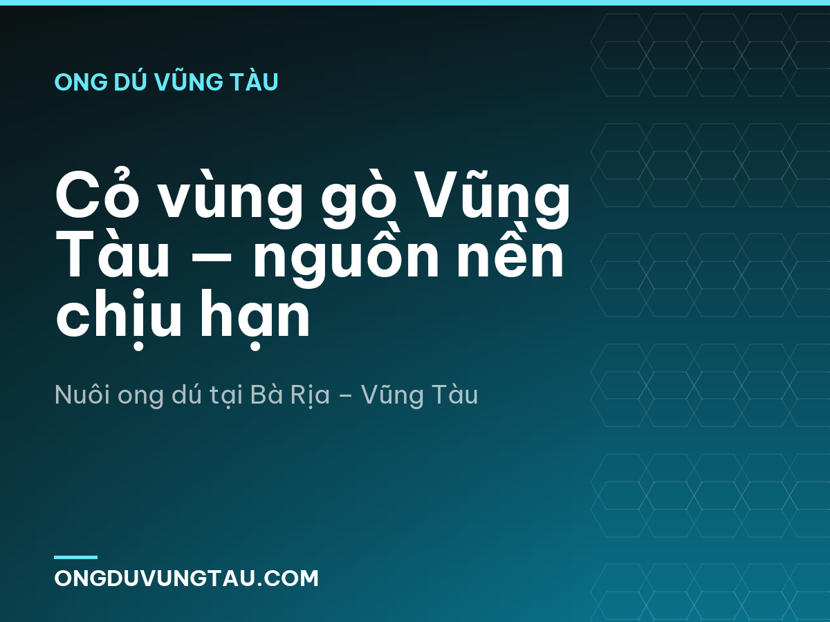 Cỏ vùng gò Vũng Tàu — nguồn nền chịu hạn