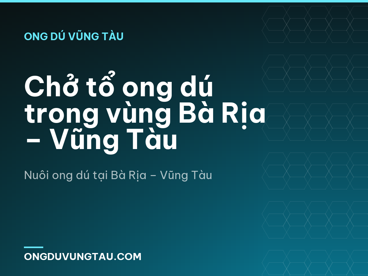Chở tổ ong dú trong vùng Bà Rịa – Vũng Tàu