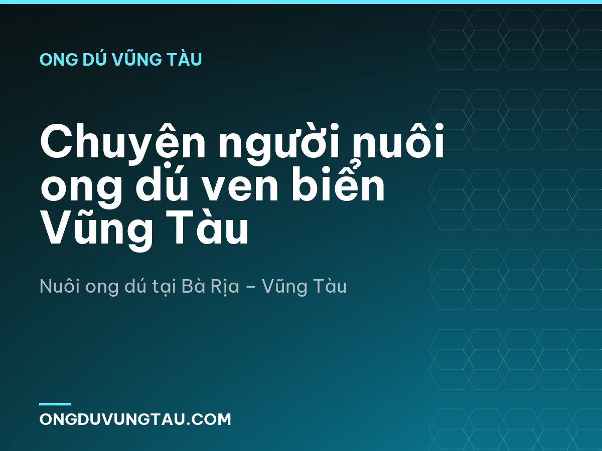 Chuyện người nuôi ong dú ven biển Vũng Tàu