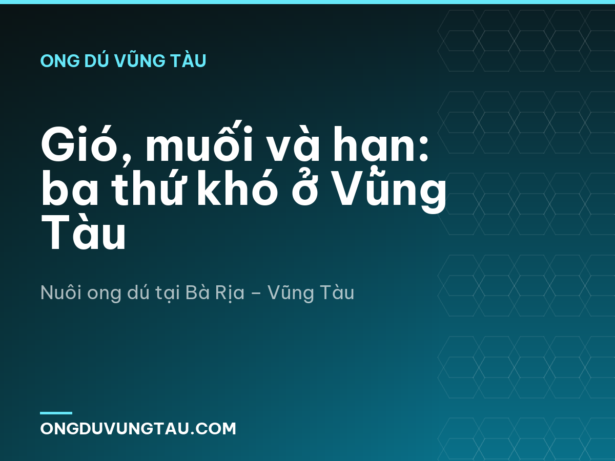 Gió, muối và hạn: ba thứ khó ở Vũng Tàu