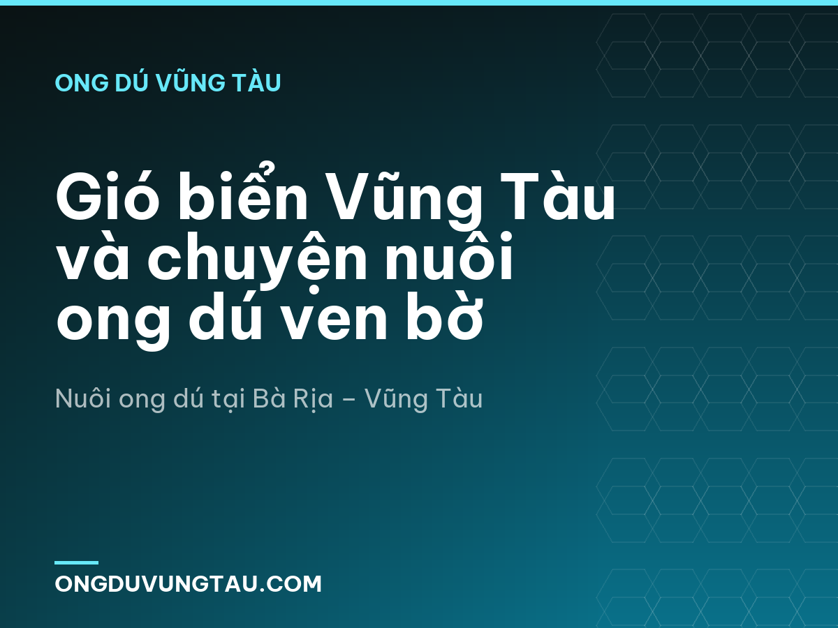 Gió biển Vũng Tàu và chuyện nuôi ong dú ven bờ