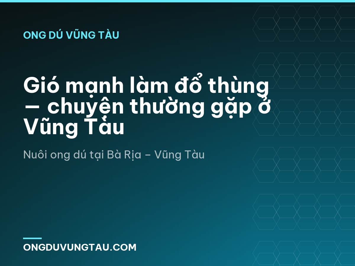 Gió mạnh làm đổ thùng — chuyện thường gặp ở Vũng Tàu
