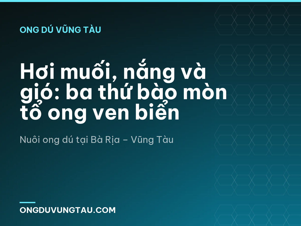 Hơi muối, nắng và gió: ba thứ bào mòn tổ ong ven biển
