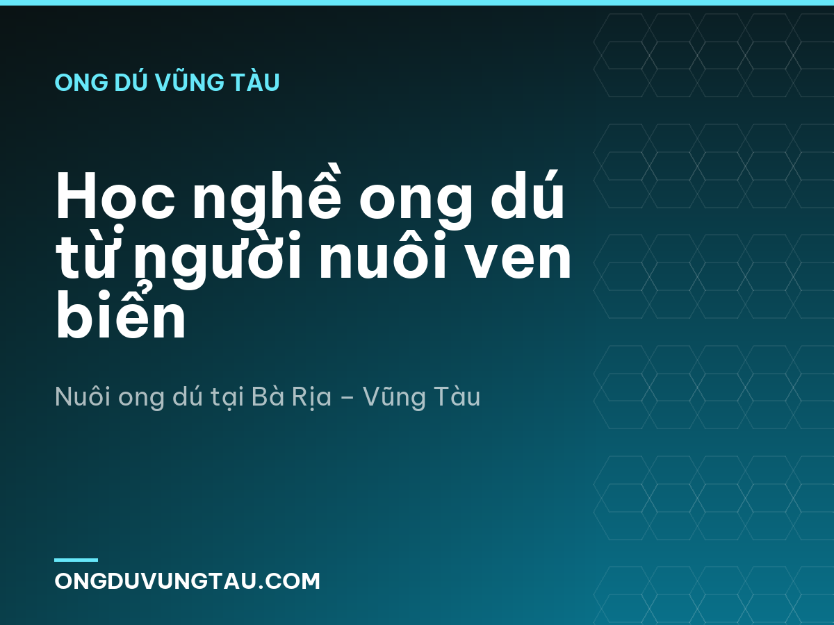 Học nghề ong dú từ người nuôi ven biển