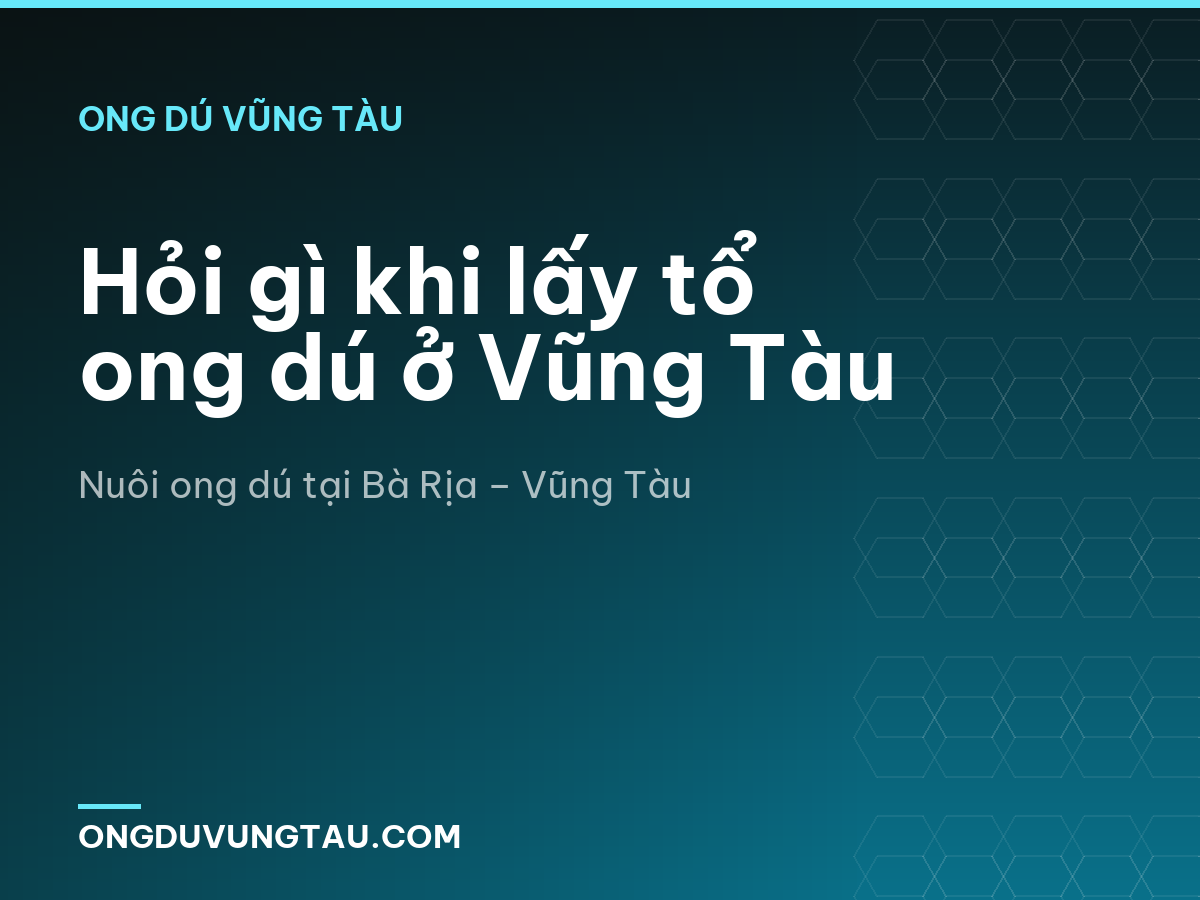 Hỏi gì khi lấy tổ ong dú ở Vũng Tàu