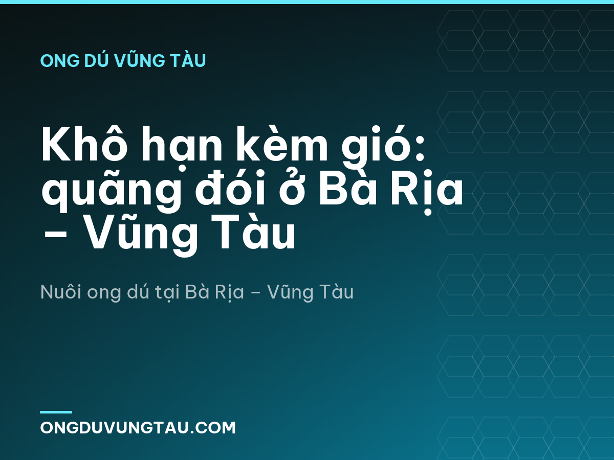 Khô hạn kèm gió: quãng đói ở Bà Rịa – Vũng Tàu