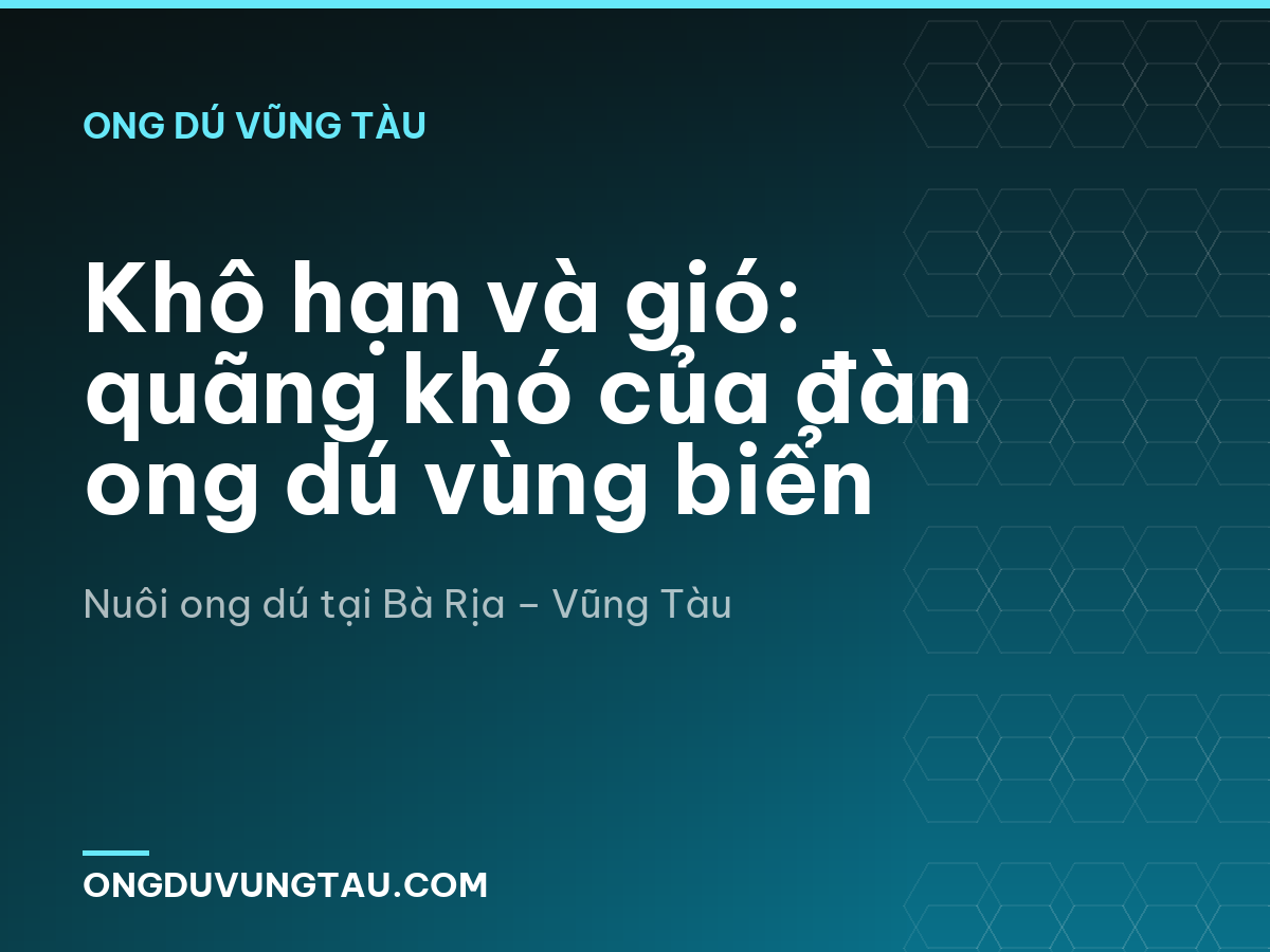 Khô hạn và gió: quãng khó của đàn ong dú vùng biển