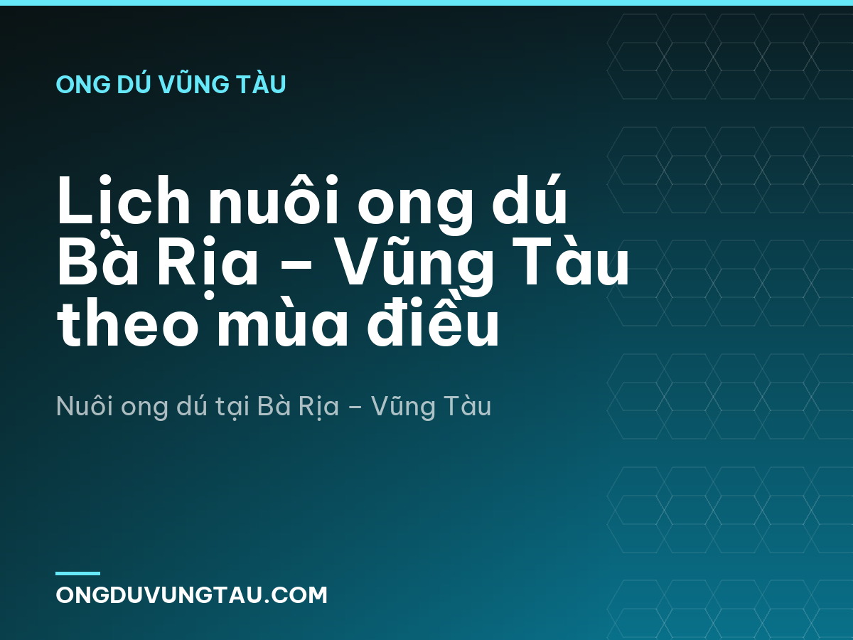 Lịch nuôi ong dú Bà Rịa – Vũng Tàu theo mùa điều