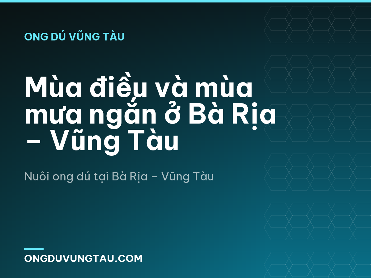 Mùa điều và mùa mưa ngắn ở Bà Rịa – Vũng Tàu