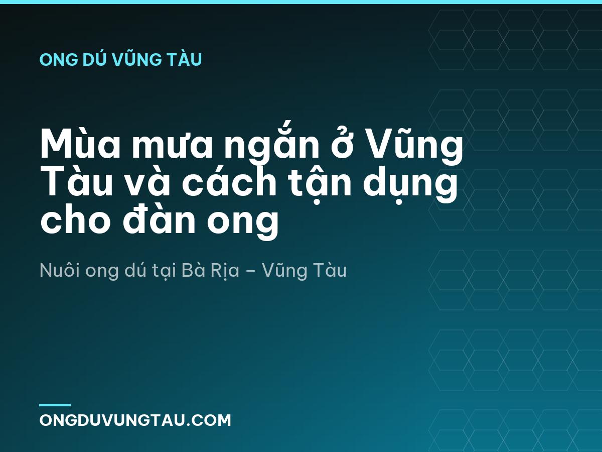 Mùa mưa ngắn ở Vũng Tàu và cách tận dụng cho đàn ong