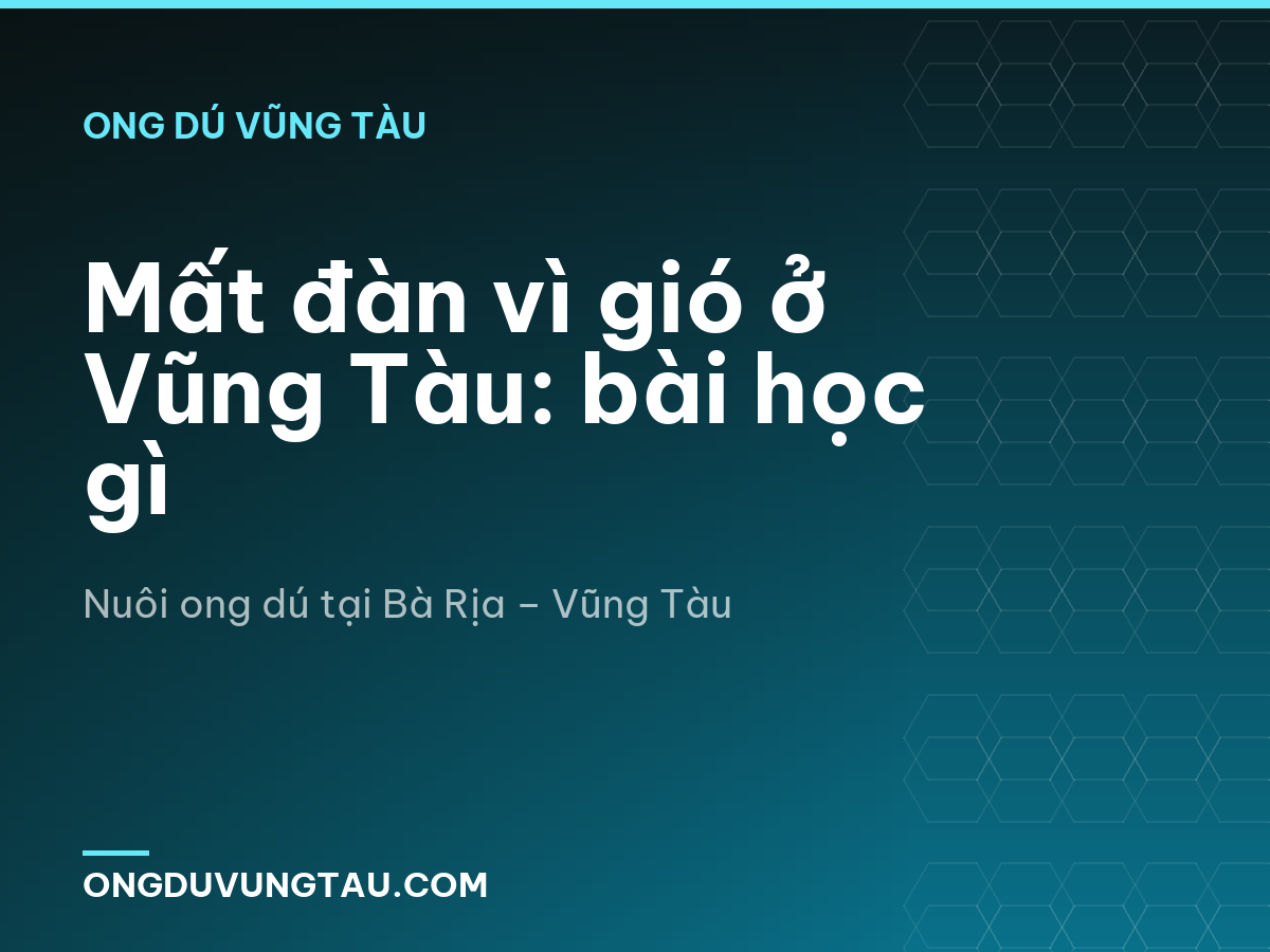 Mất đàn vì gió ở Vũng Tàu: bài học gì