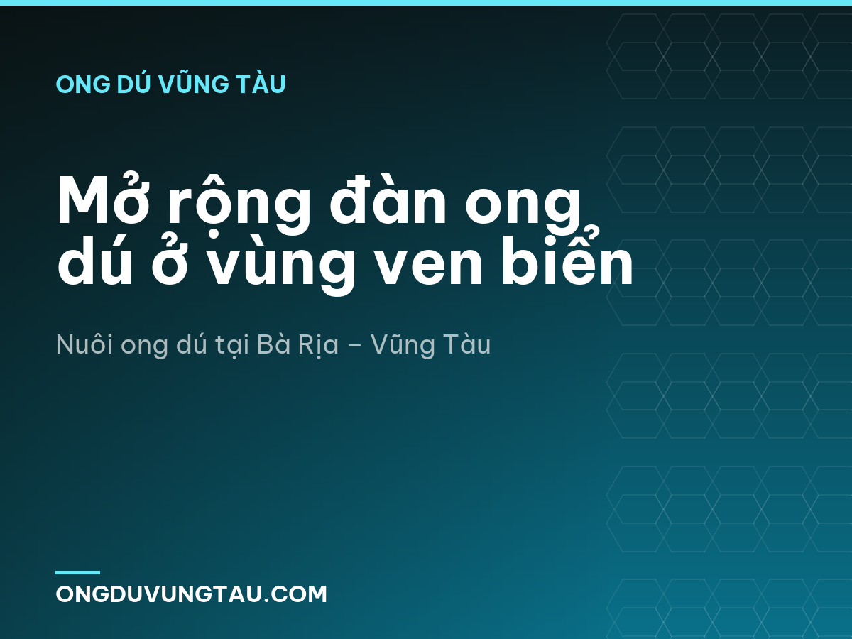 Mở rộng đàn ong dú ở vùng ven biển
