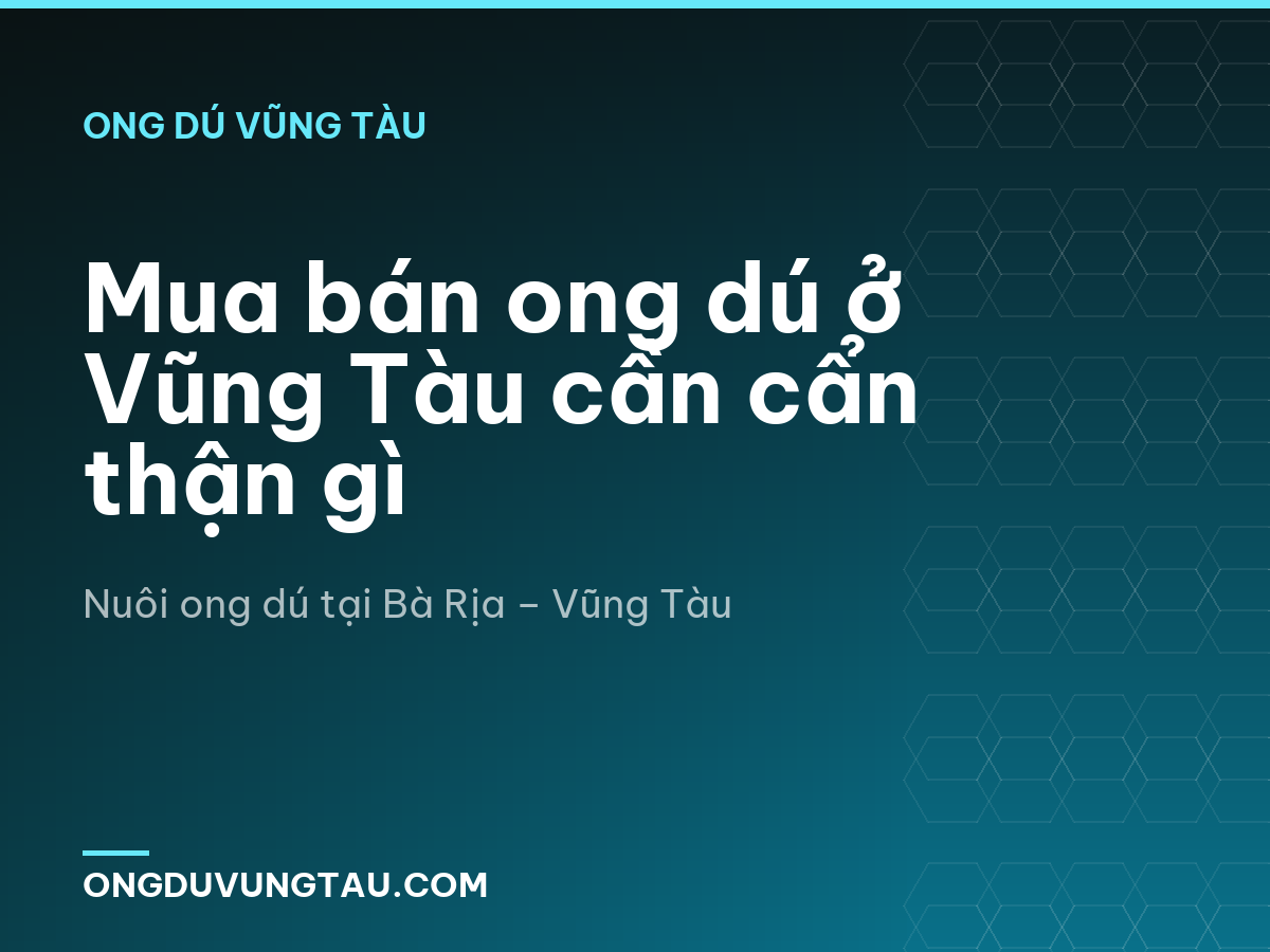 Mua bán ong dú ở Vũng Tàu cần cẩn thận gì