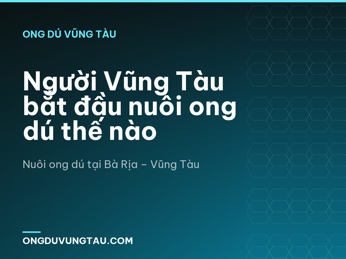 Người Vũng Tàu bắt đầu nuôi ong dú thế nào