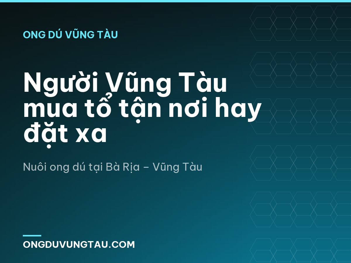 Người Vũng Tàu mua tổ tận nơi hay đặt xa