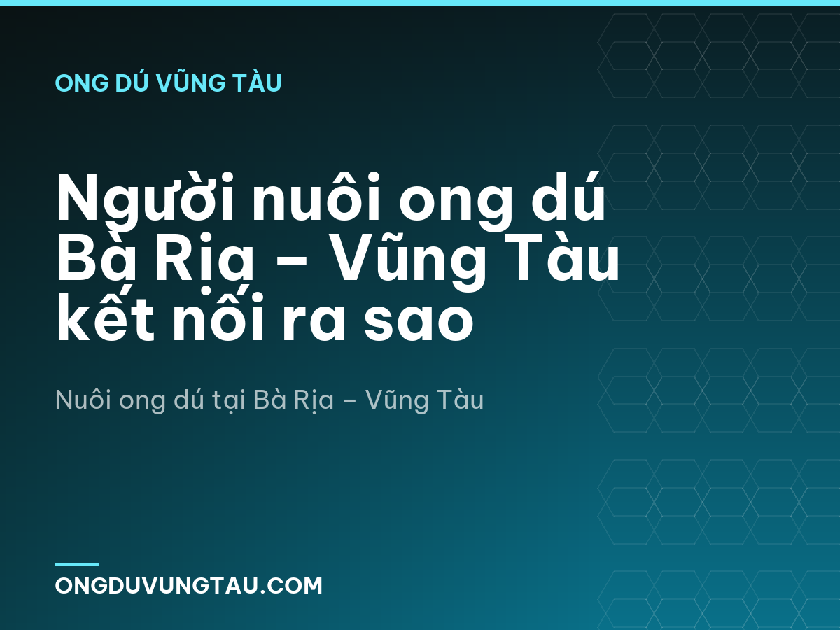 Người nuôi ong dú Bà Rịa – Vũng Tàu kết nối ra sao