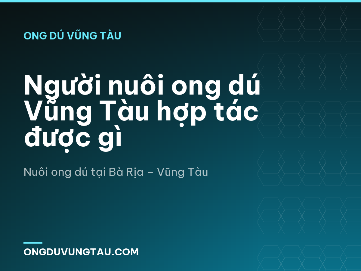 Người nuôi ong dú Vũng Tàu hợp tác được gì