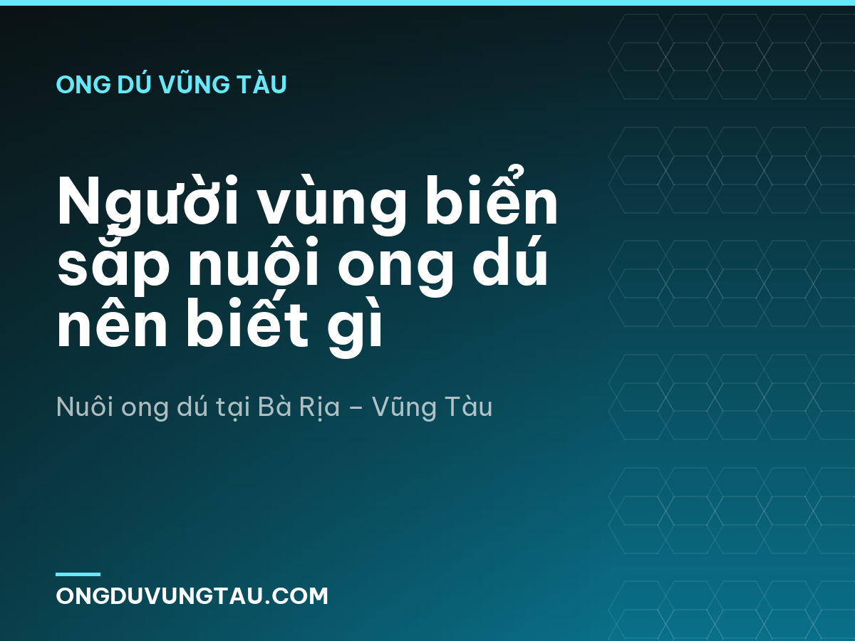 Người vùng biển sắp nuôi ong dú nên biết gì