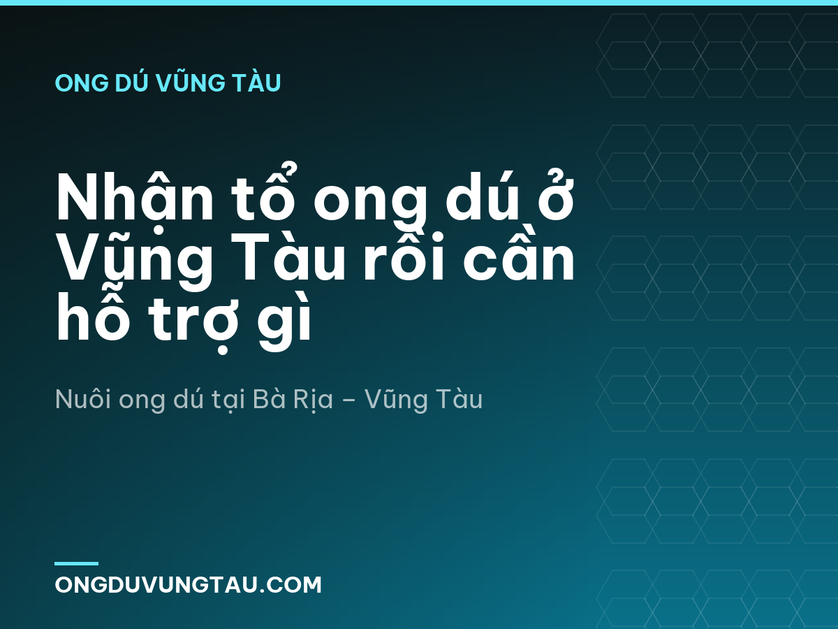 Nhận tổ ong dú ở Vũng Tàu rồi cần hỗ trợ gì