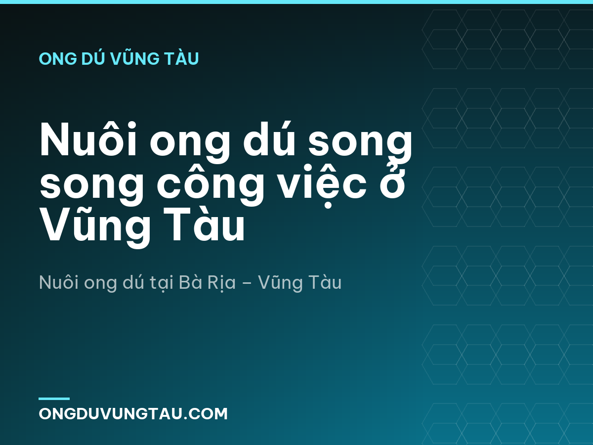 Nuôi ong dú song song công việc ở Vũng Tàu