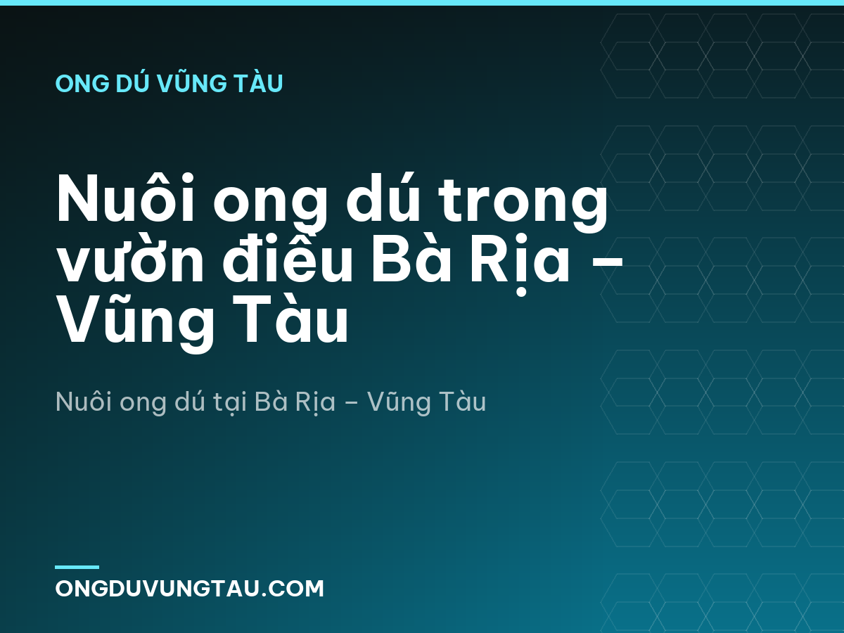 Nuôi ong dú trong vườn điều Bà Rịa – Vũng Tàu