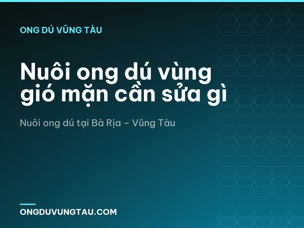 Nuôi ong dú vùng gió mặn cần sửa gì