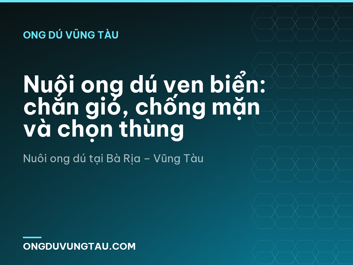 Nuôi ong dú ven biển: chắn gió, chống mặn và chọn thùng
