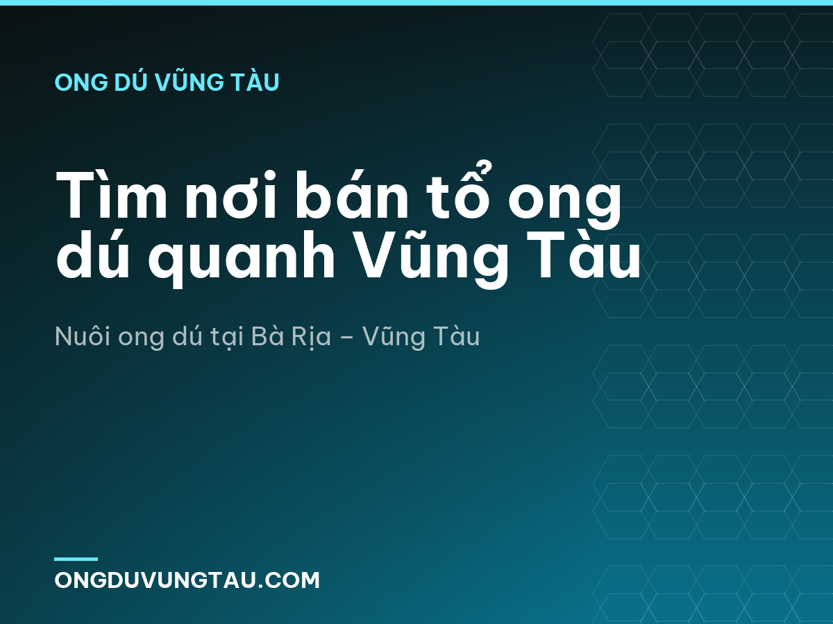 Tìm nơi bán tổ ong dú quanh Vũng Tàu