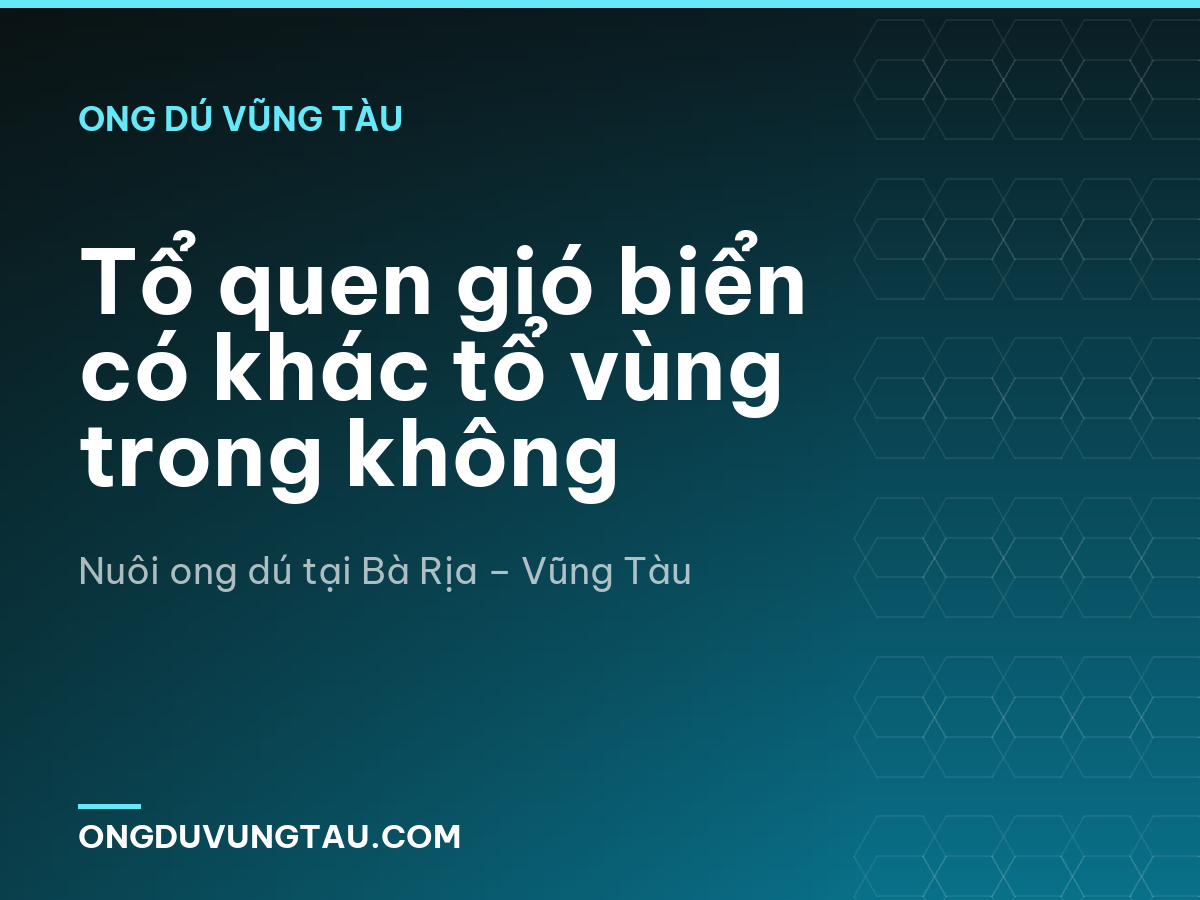 Tổ quen gió biển có khác tổ vùng trong không