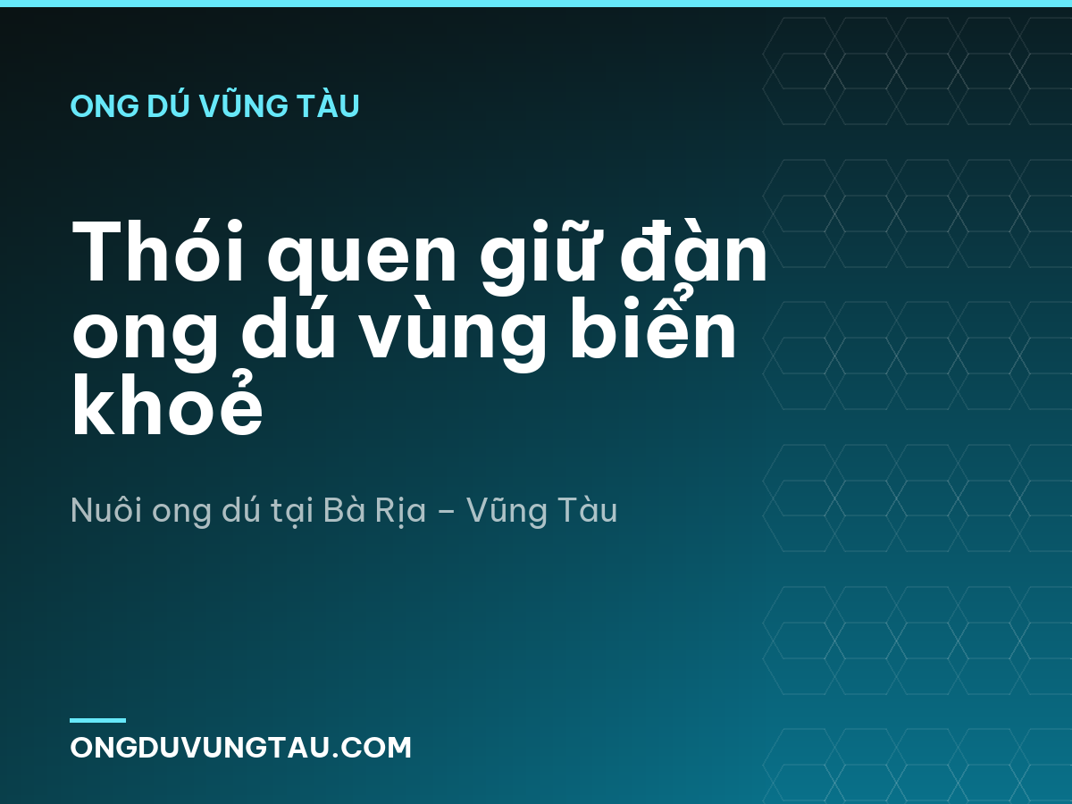 Thói quen giữ đàn ong dú vùng biển khoẻ