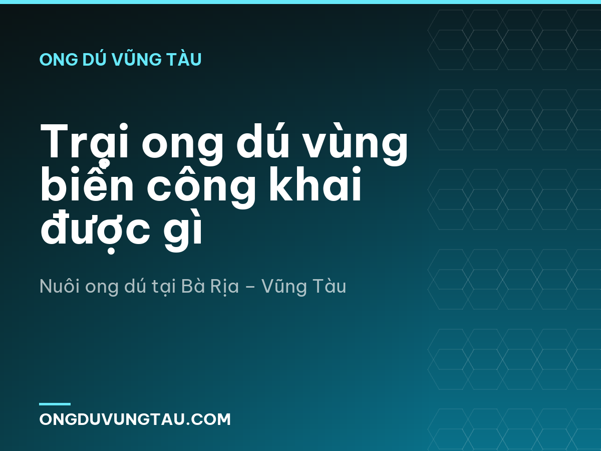 Trại ong dú vùng biển công khai được gì