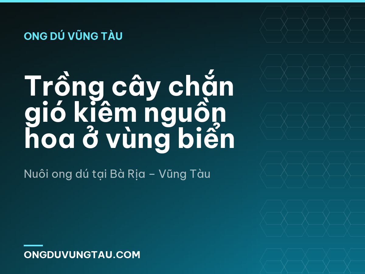 Trồng cây chắn gió kiêm nguồn hoa ở vùng biển