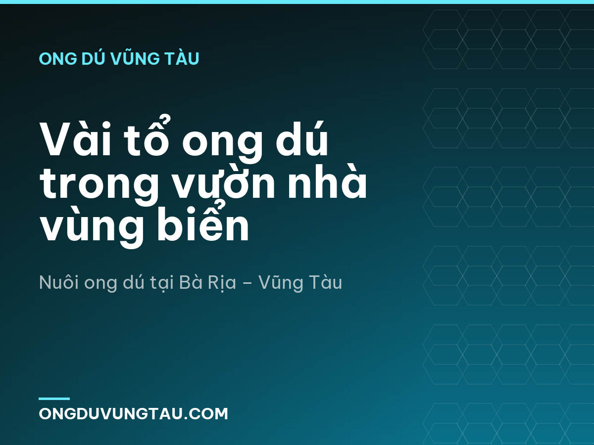 Vài tổ ong dú trong vườn nhà vùng biển