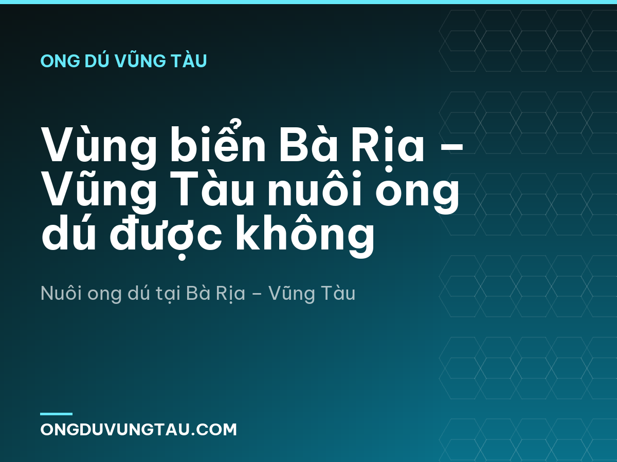 Vùng biển Bà Rịa – Vũng Tàu nuôi ong dú được không
