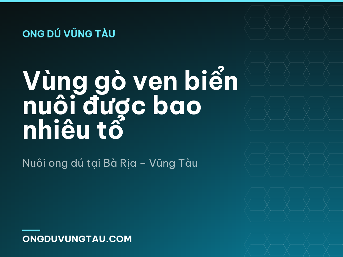 Vùng gò ven biển nuôi được bao nhiêu tổ