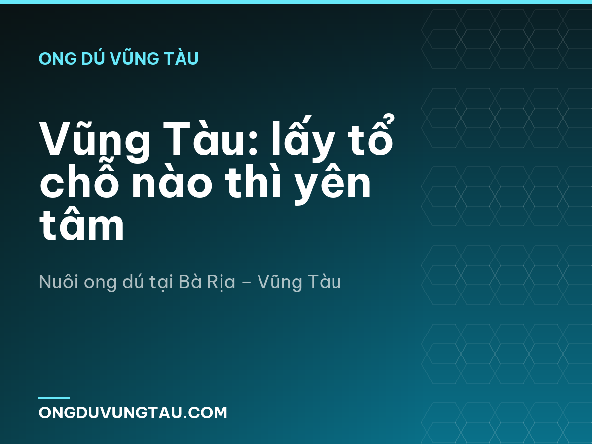 Vũng Tàu: lấy tổ chỗ nào thì yên tâm