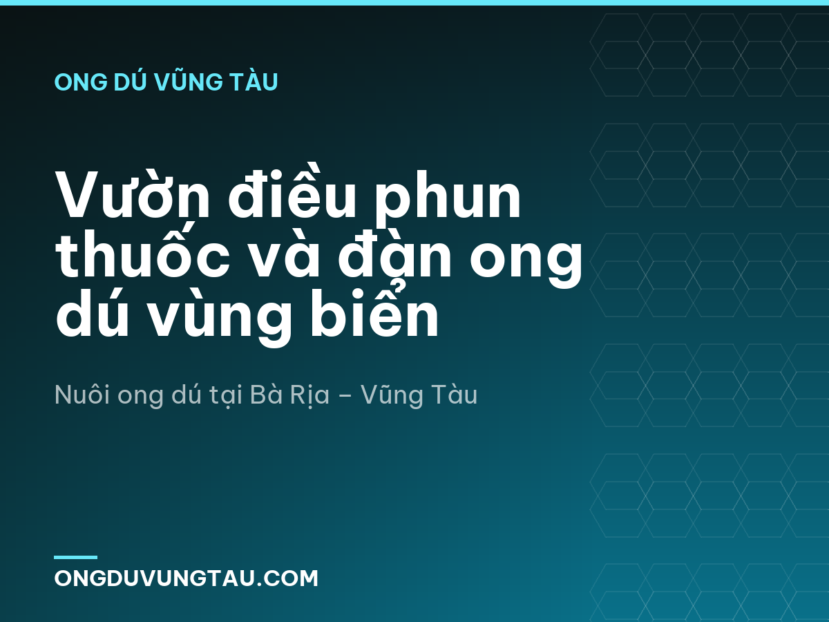 Vườn điều phun thuốc và đàn ong dú vùng biển