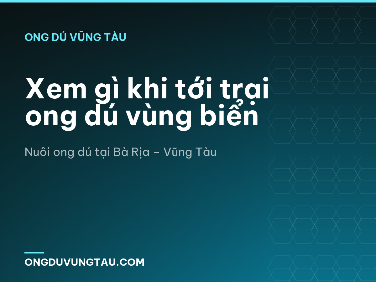 Xem gì khi tới trại ong dú vùng biển