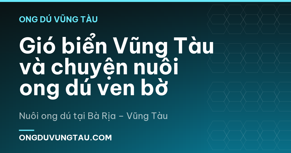 Gió biển Vũng Tàu và chuyện nuôi ong dú ven bờ