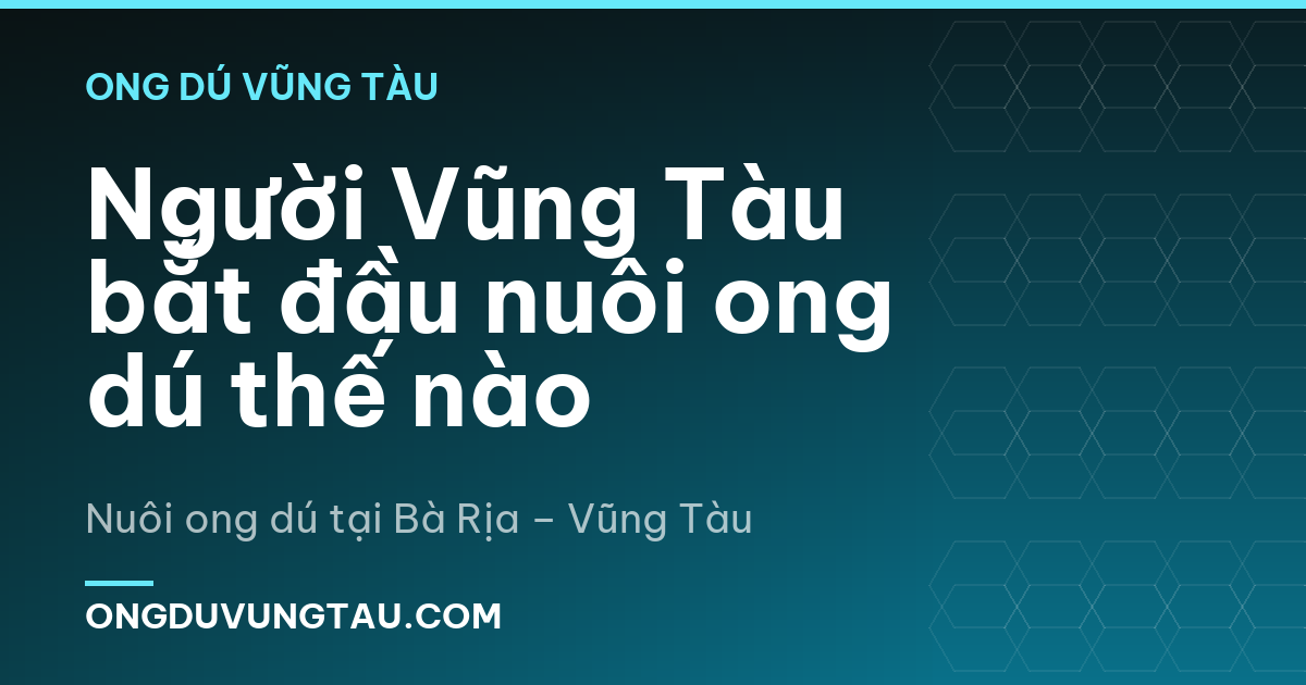 Người Vũng Tàu bắt đầu nuôi ong dú thế nào